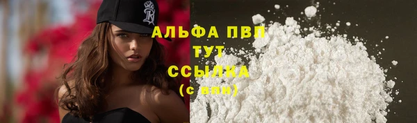 сатива Арсеньев
