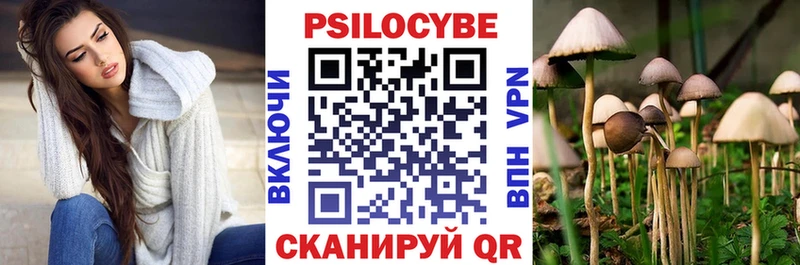 Галлюциногенные грибы Magic Shrooms  купить наркоту  Туринск 