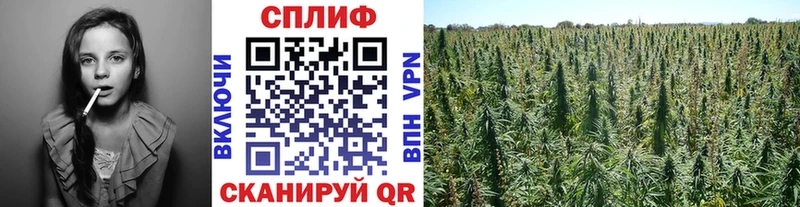 сайты даркнета официальный сайт  Туринск  МАРИХУАНА конопля 